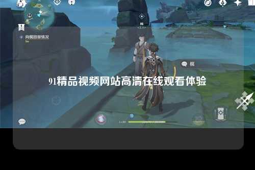 91精品视频网站高清在线观看体验