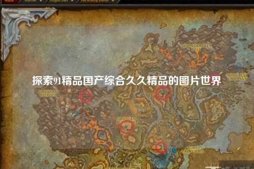 探索91精品国产综合久久精品的图片世界