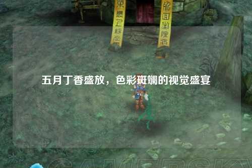 五月丁香盛放，色彩斑斓的视觉盛宴