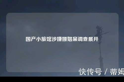 国产小旅馆涉嫌嫖娼案调查展开