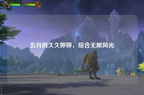 五月的久久婷婷，综合无限风光