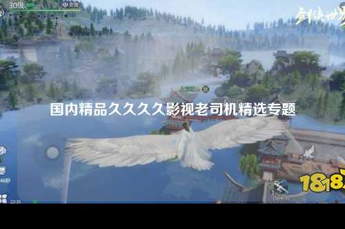 国内精品久久久久影视老司机精选专题