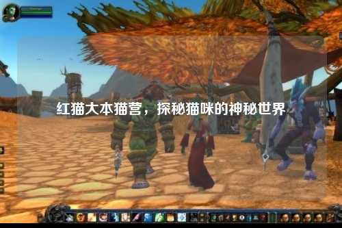 红猫大本猫营，探秘猫咪的神秘世界