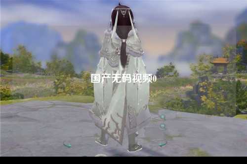 国产无码视频0