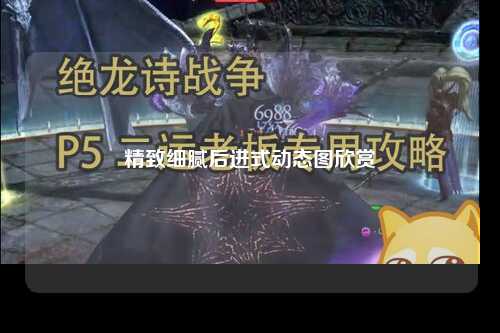 精致细腻后进式动态图欣赏
