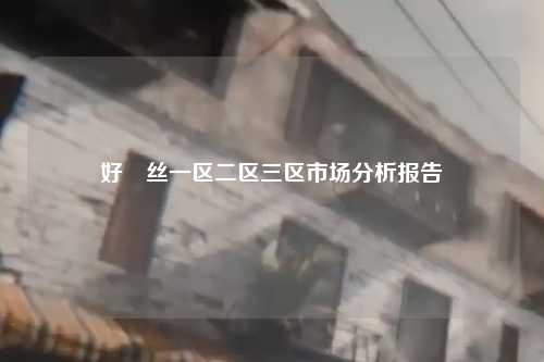 好屌丝一区二区三区市场分析报告