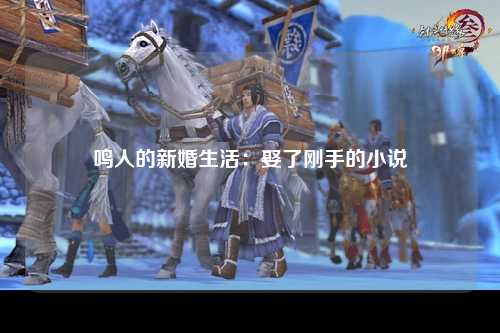 鸣人的新婚生活：娶了刚手的小说