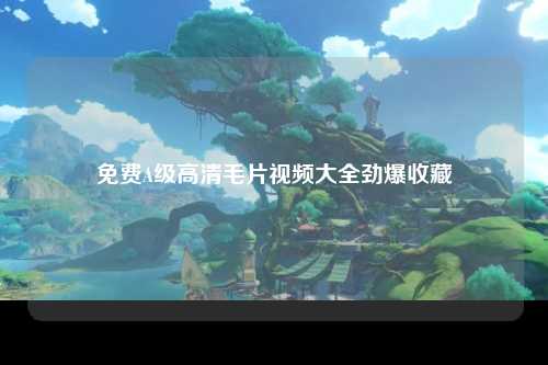 免费A级高清毛片视频大全劲爆收藏