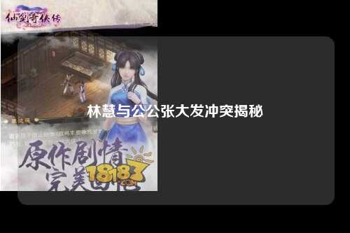 林慧与公公张大发冲突揭秘